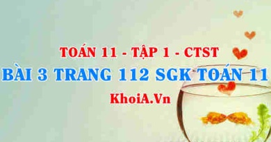 Bài 3 trang 112 SGK Toán 11 Tập 1 Chân trời sáng tạo